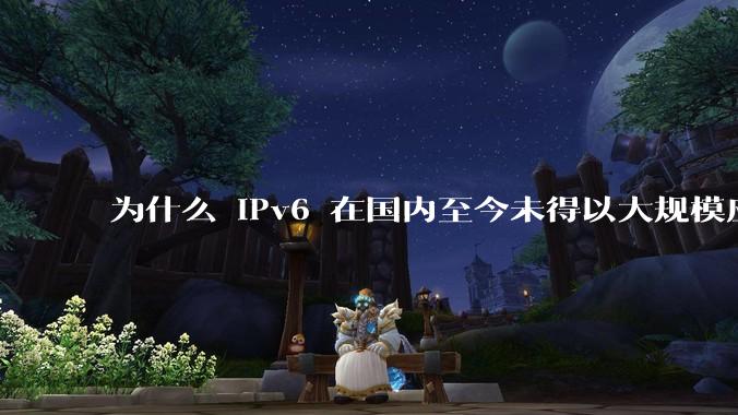 为什么 IPv6 在国内至今未得以大规模应用?
