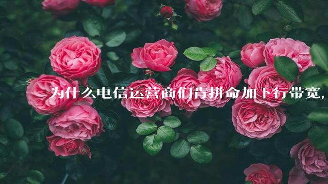 为什么电信运营商们肯拼命加下行带宽，却对上行严防死守?